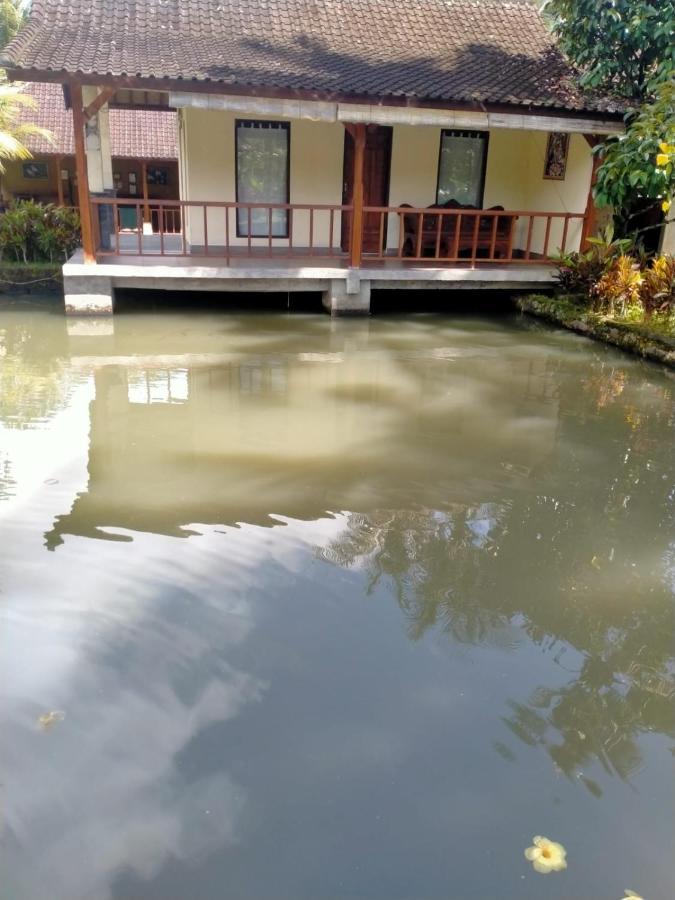 Villa Uma Ayu Sidemen Sidemen  Luaran gambar