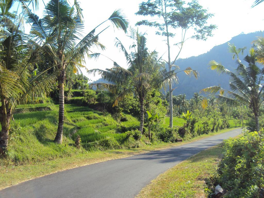 Villa Uma Ayu Sidemen Sidemen  Luaran gambar