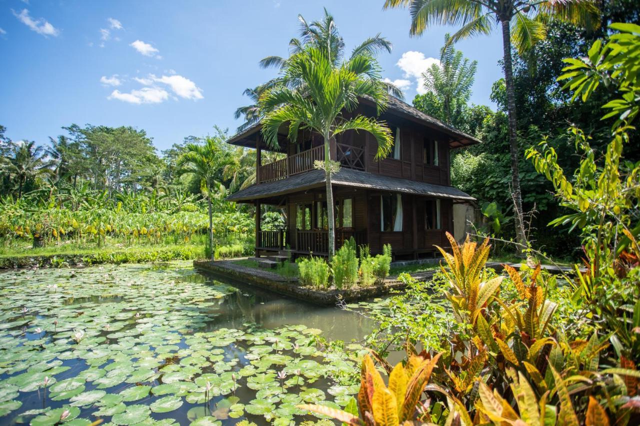 Villa Uma Ayu Sidemen Sidemen  Luaran gambar
