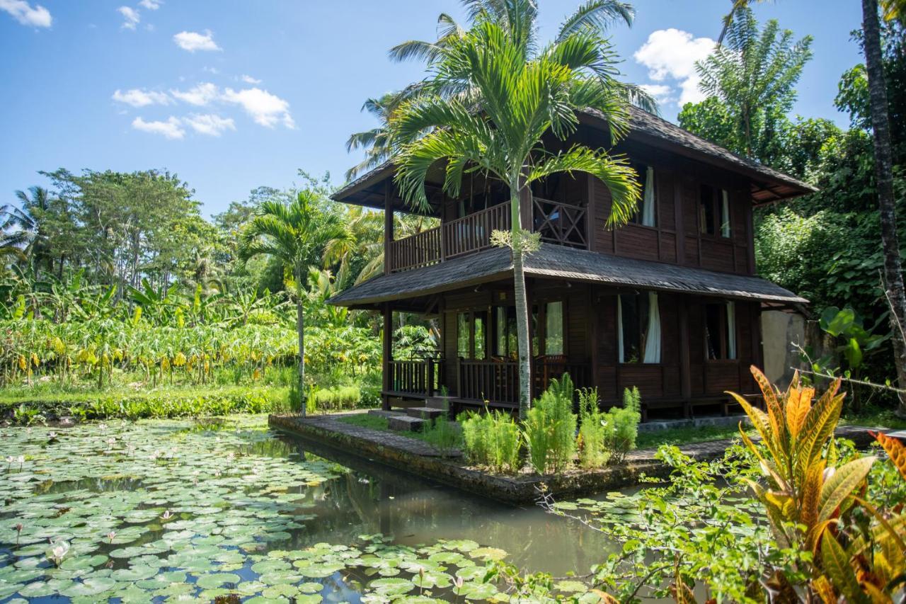 Villa Uma Ayu Sidemen Sidemen  Luaran gambar