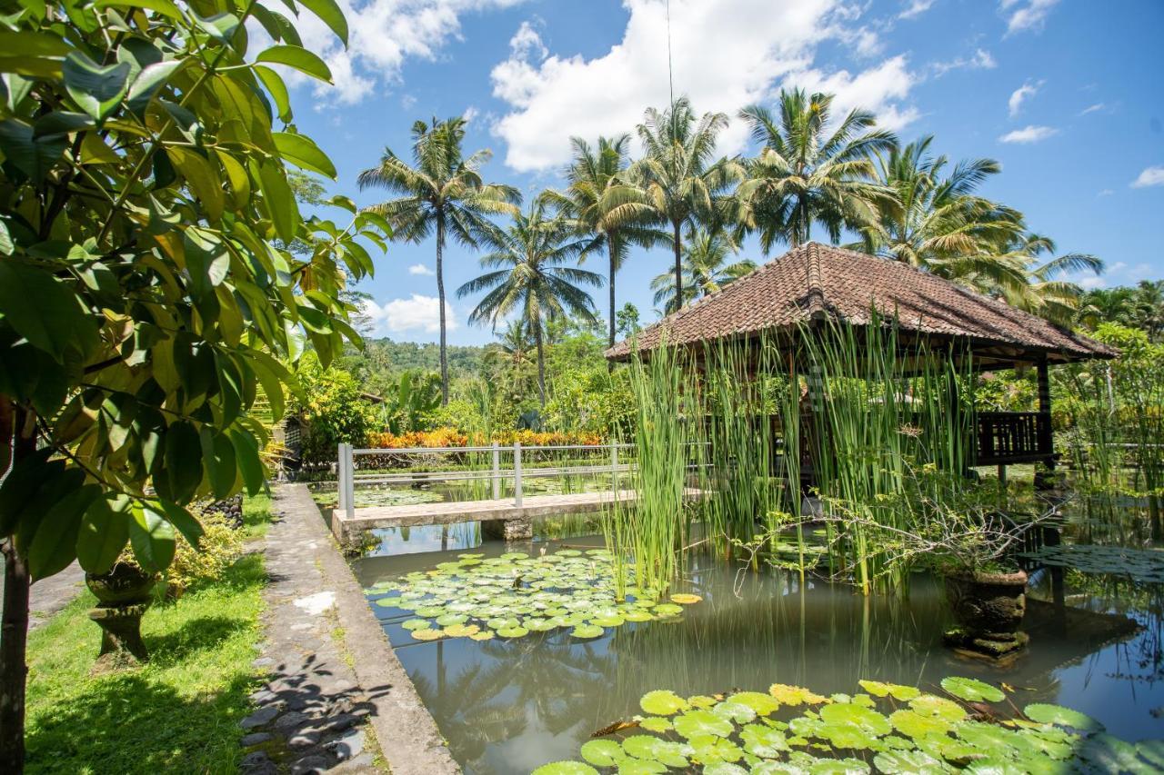 Villa Uma Ayu Sidemen Sidemen  Luaran gambar